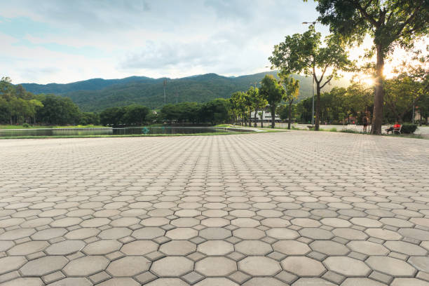 Best Professional Driveway Pavers  in Governors Clu, NC